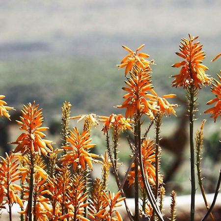 Cortijo El Paraiso Лос Ескулос Екстериор снимка